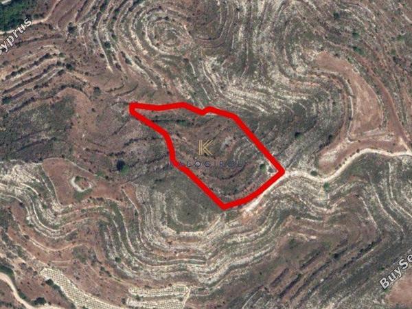 land for sale pachna limassol 1194721 image 5569705