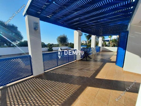 3 bedroom detached house for rent secret valley paphos 8597821 image 16553250