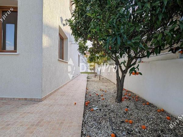 3 bedroom detached house for sale tsada paphos 8126821 image 15731936