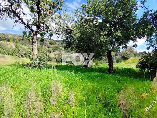 land for sale asgata limassol 1699821 image 5675000