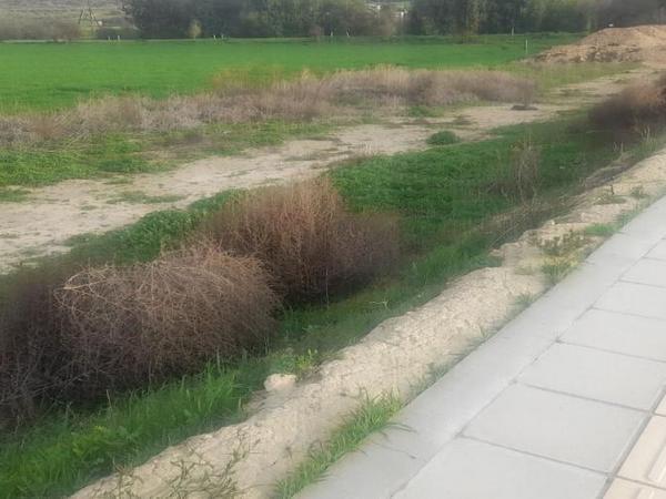 plot for sale alethriko larnaca 8117821 image 16186285