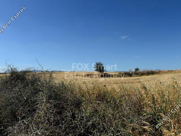 studio shop for sale ergates nicosia 8771821 image 16583300