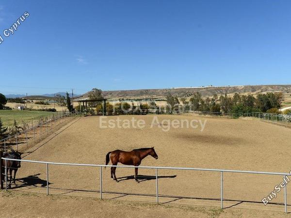 studio shop for sale ergates nicosia 8771821 image 16583309