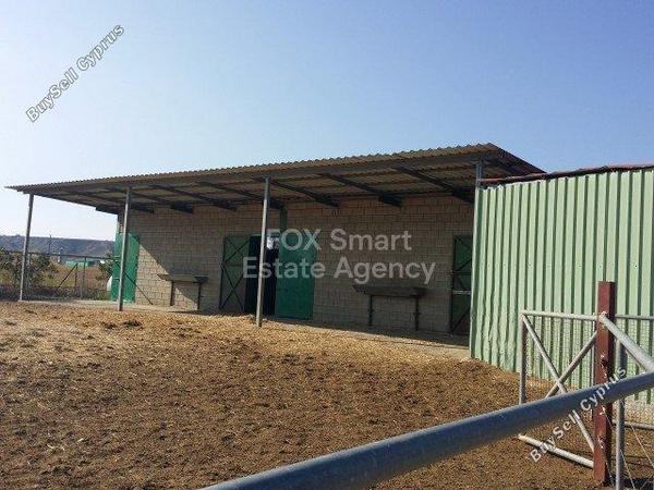 studio shop for sale ergates nicosia 8771821 image 16583323
