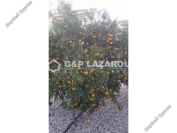 4 bedroom detached house for sale palaiometocho nicosia 8499921 image 15633320