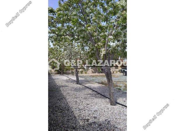 4 bedroom detached house for sale palaiometocho nicosia 8499921 image 15633326