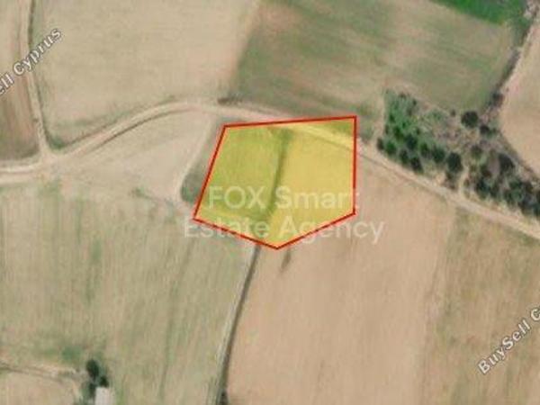 land for sale akaki nicosia 8670031 image 16060151