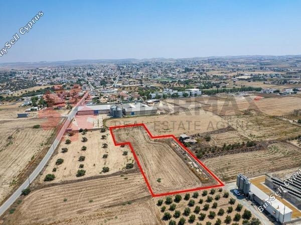land for sale athienou larnaca 7903031 image 11107582