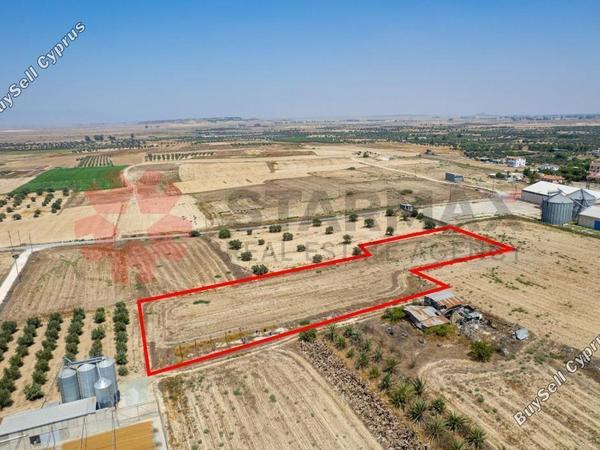 land for sale athienou larnaca 7903031 image 11107587