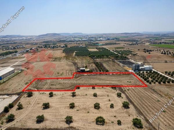 land for sale athienou larnaca 7903031 image 11107597
