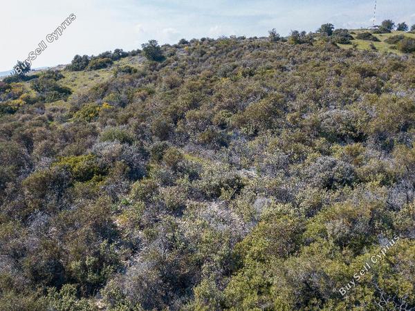 land for sale ora larnaca 1029031 image 15602125