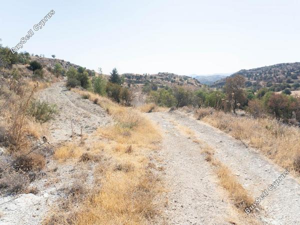 land for sale pera orinis nicosia 946031 image 16701341