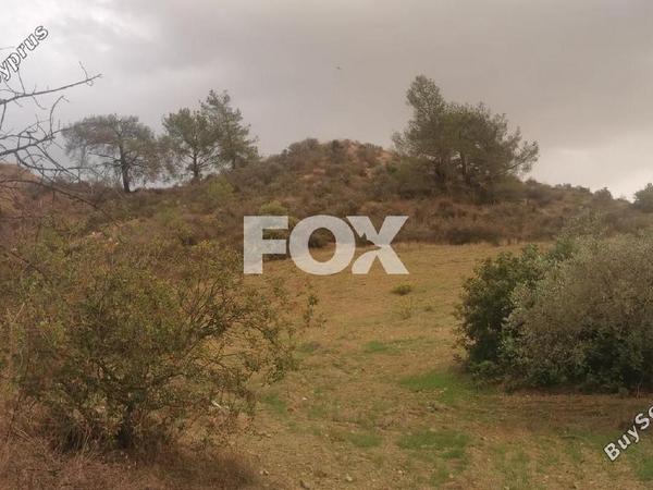 land for sale tochni larnaca 1227031 image 5576672