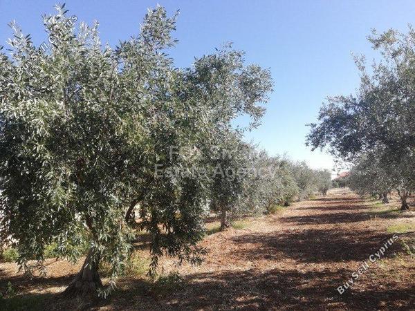 plot for sale klirou nicosia 1151031 image 5126499