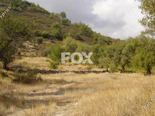 land for sale pera pedi limassol 7926131 image 11361515