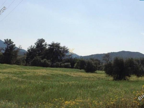 land for sale pyrga larnaca 1268131 image 5619836