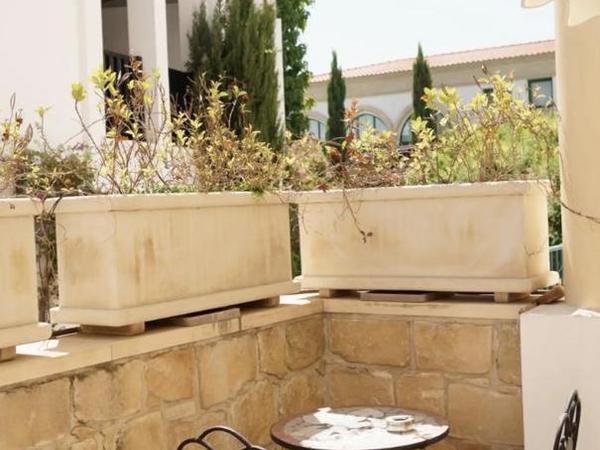 2 bedroom apartment for rent limassol municipality limassol 8468231 image 15328629