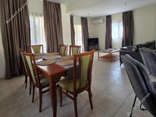 3 bedroom detached house for rent secret valley paphos 8634231 image 16455748