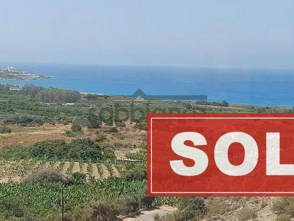 3 bedroom detached house sold coral bay paphos 8746231 image 17003004