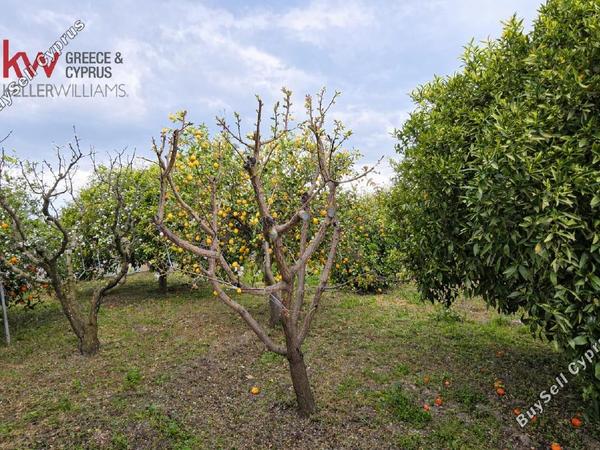 4 bedroom detached house for sale nisou nicosia 8437231 image 16137279