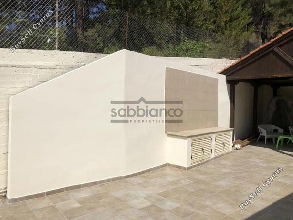 4 bedroom detached house for sale pano platres limassol 8743231 image 16411612