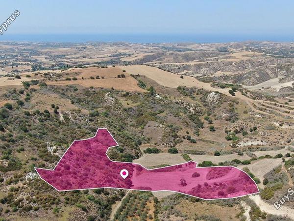 land for sale choli paphos 1557231 image 13347570