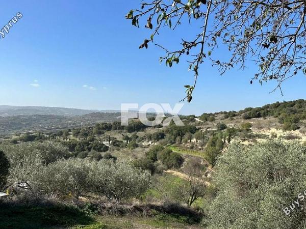 land for sale psathi paphos 1270231 image 10032372