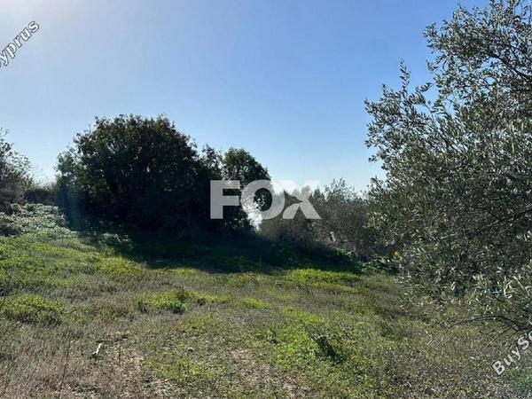 land for sale psathi paphos 1270231 image 10032376
