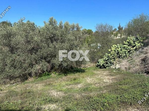 land for sale psathi paphos 1270231 image 10032382