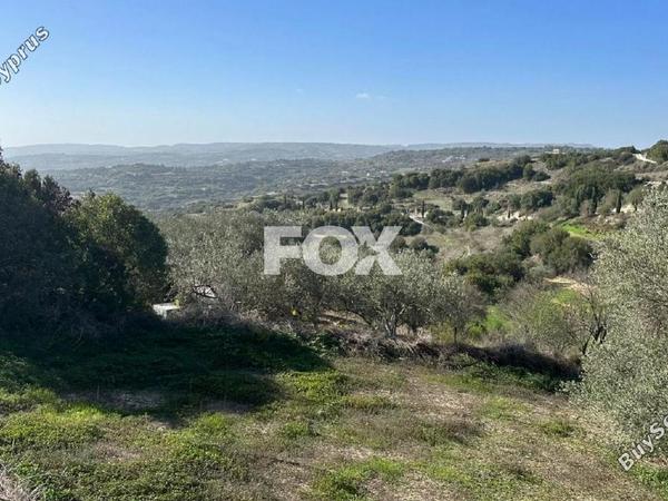 land for sale psathi paphos 1270231 image 10032385