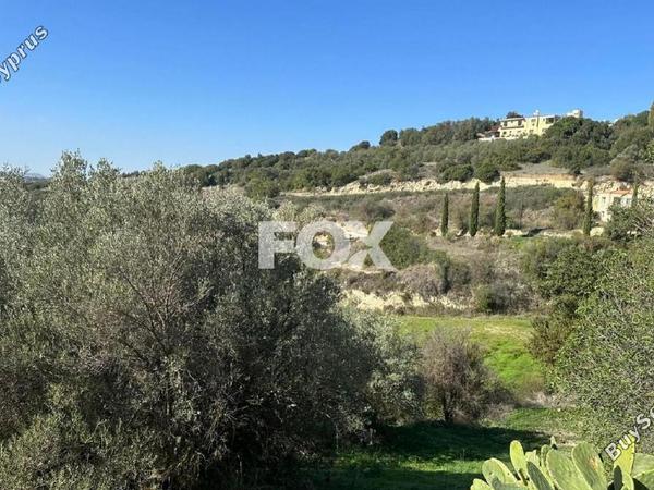 land for sale psathi paphos 1270231 image 10032386