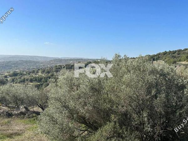 land for sale psathi paphos 1270231 image 10032387