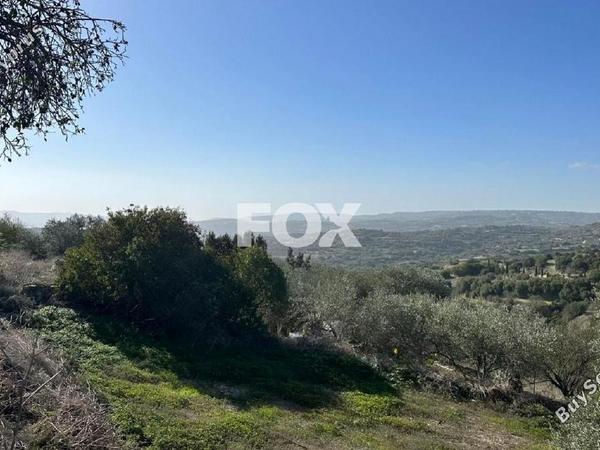 land for sale psathi paphos 1270231 image 10032388