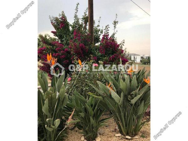 4 bedroom detached house for sale kallithea nicosia 7463331 image 12651194