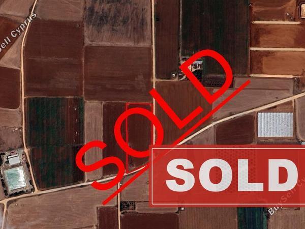 land sold ormideia larnaca 1558331 image 11161033