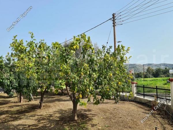 4 bedroom detached house for sale psevdas larnaca 8343431 image 15691788