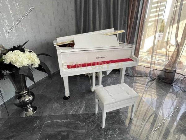 5 bedroom detached house for sale potamos germasogeias limassol 1137431 image 15163121