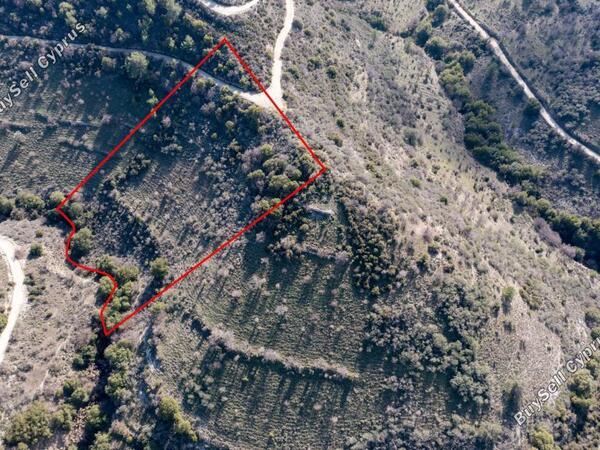 land for sale dora limassol 839431 image 3398645