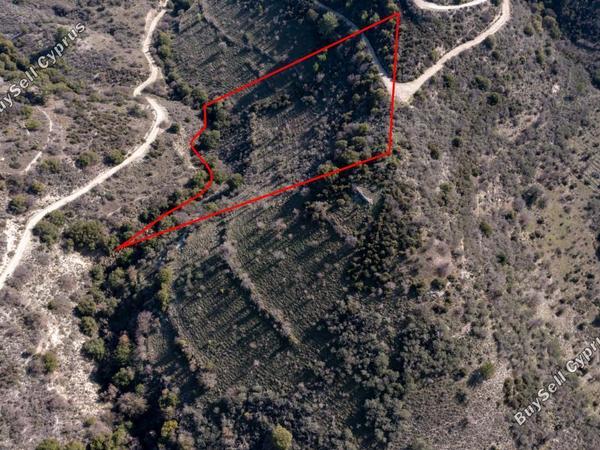 land for sale dora limassol 839431 image 5480853