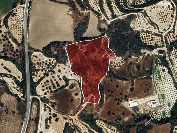 land for sale drousia paphos 1624431 image 16009998