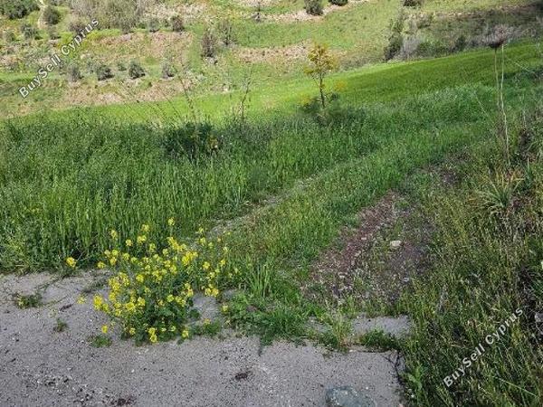 land for sale drynia paphos 7839431 image 15596525