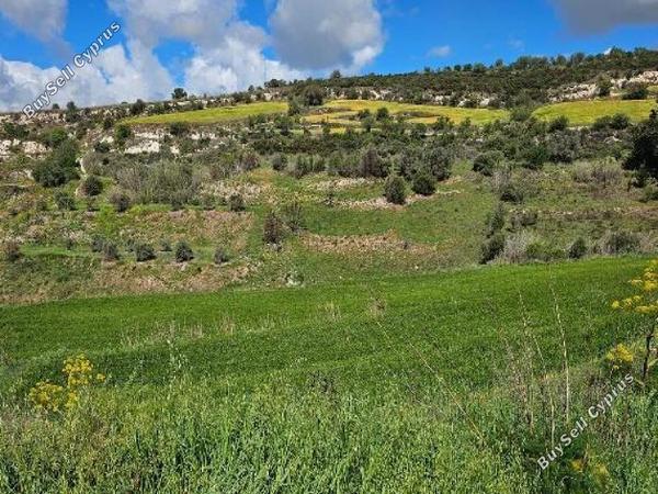 land for sale drynia paphos 7839431 image 15596526