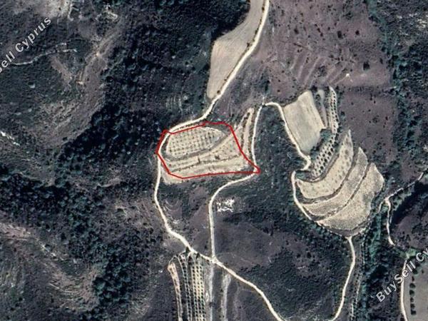 land for sale kathikas paphos 828431 image 15179200