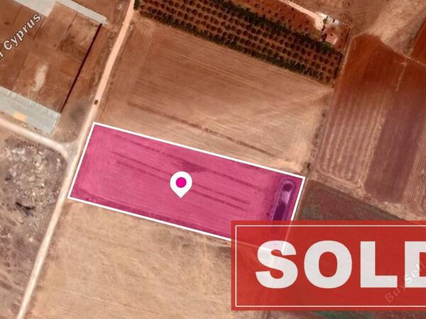 land sold ormideia larnaca 1057431 image 1294664