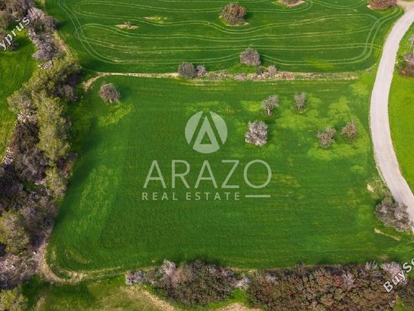 land for sale mazotos larnaca 8106531 image 13266831