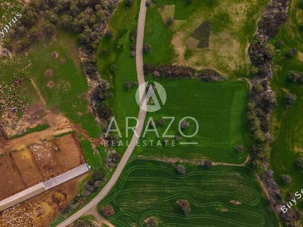 land for sale mazotos larnaca 8106531 image 13266832