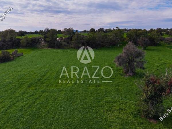 land for sale mazotos larnaca 8106531 image 13266833