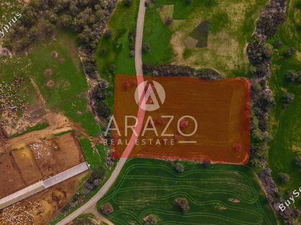 land for sale mazotos larnaca 8106531 image 13266838