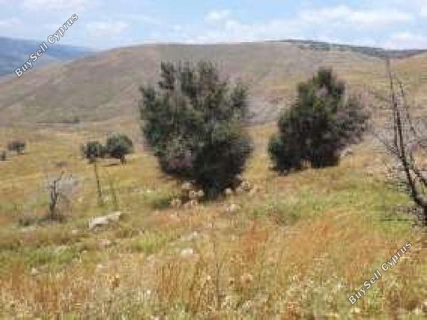 land for sale pentalia paphos 8629531 image 16717877