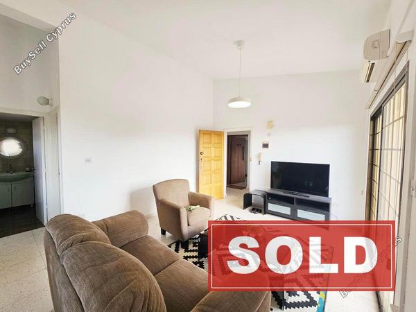studio commercial building sold peyia paphos 7845531 image 10804310